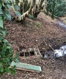 Lady Well, Woolpit - PID:237246