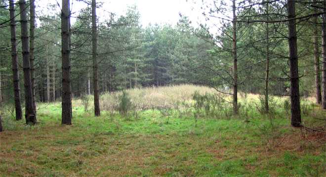 Click for the gallery page to add comments and vote (PID:18221) West Stow Field Barrow