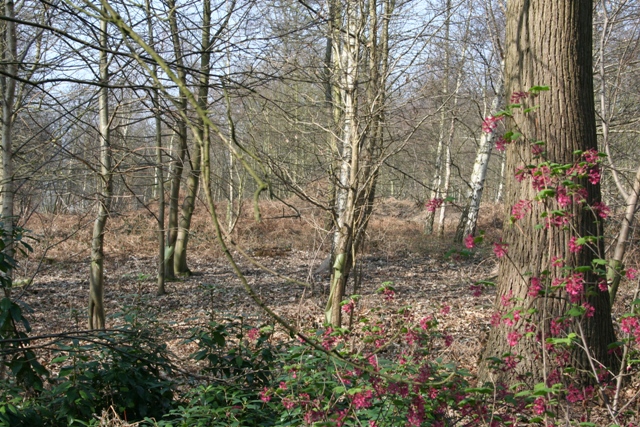 Seven Hills