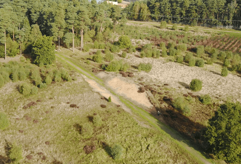 White Hill, Suffolk