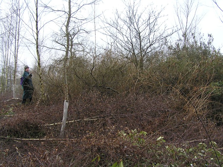 Albury Park Mound