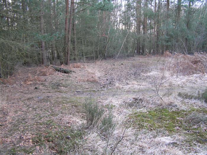 Horsell Common W