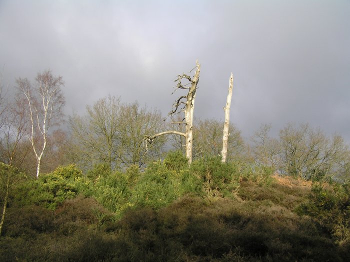 Click for the gallery page to add comments and vote (PID:12224) Tyting Farm Bowl Barrow