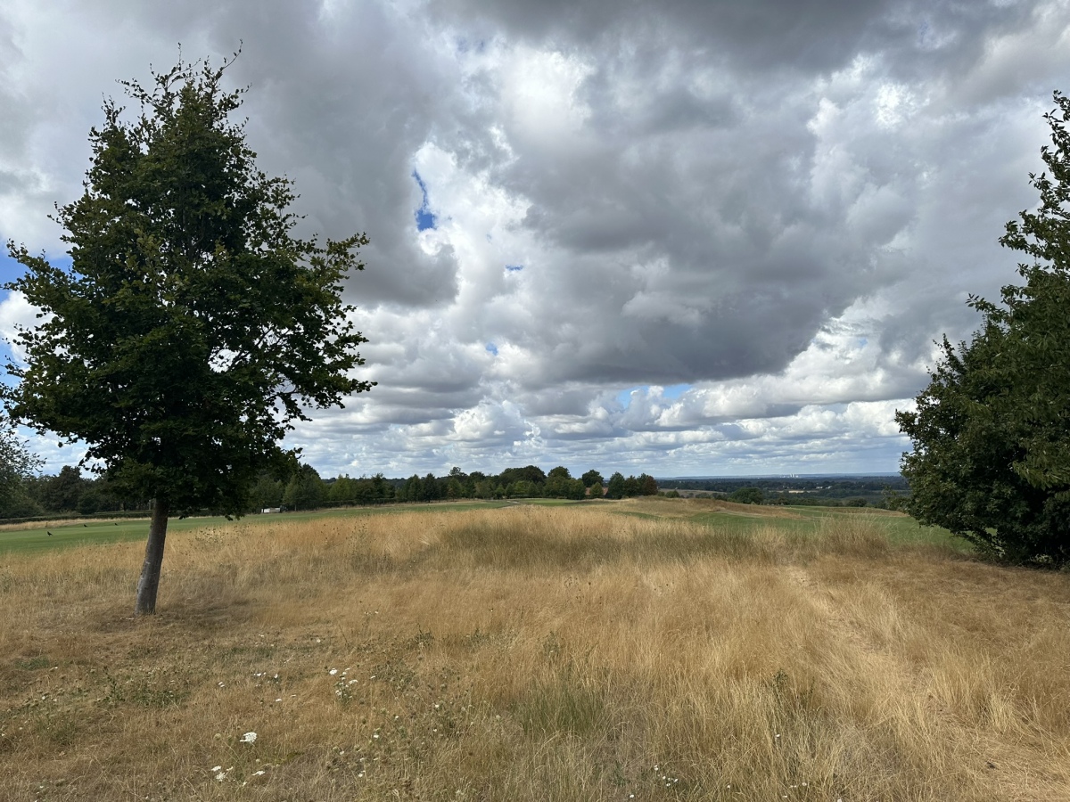 Cherkley Court Western Barrow