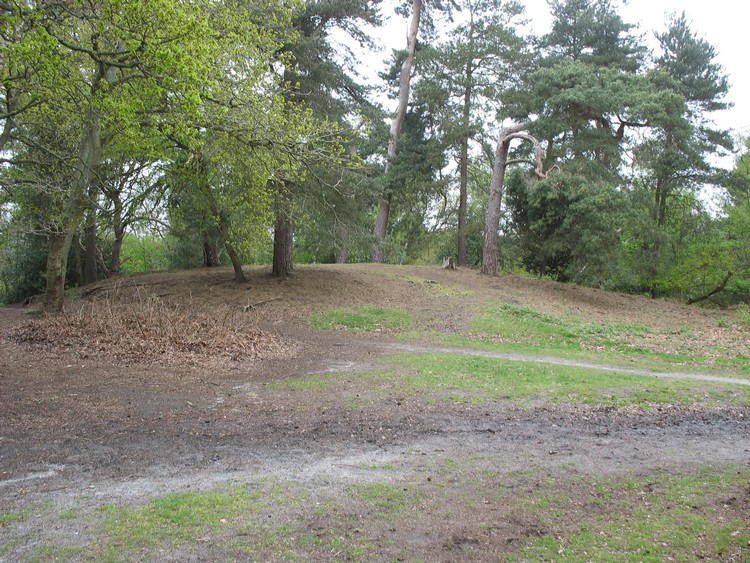 Reigate Heath Barrows