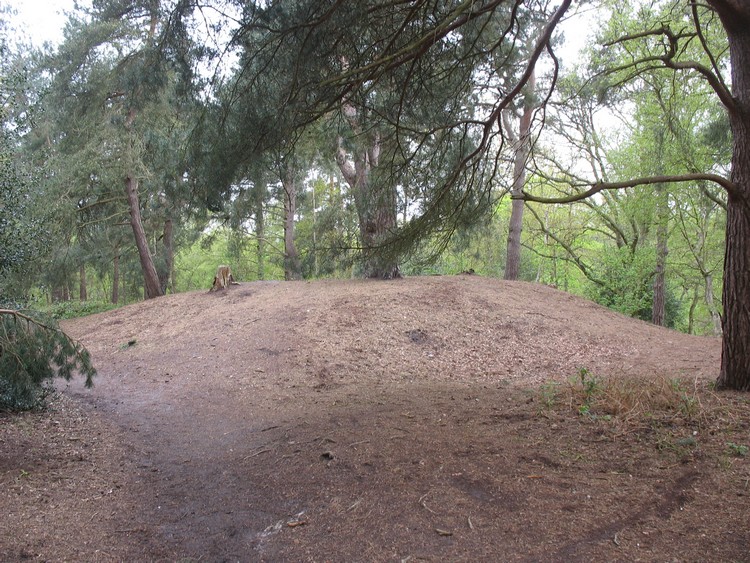 Reigate Heath Barrows