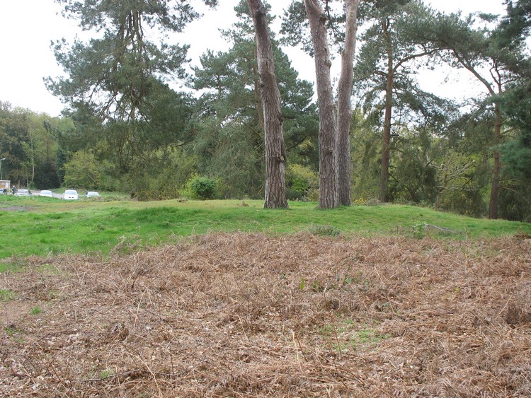 Reigate Heath Barrows