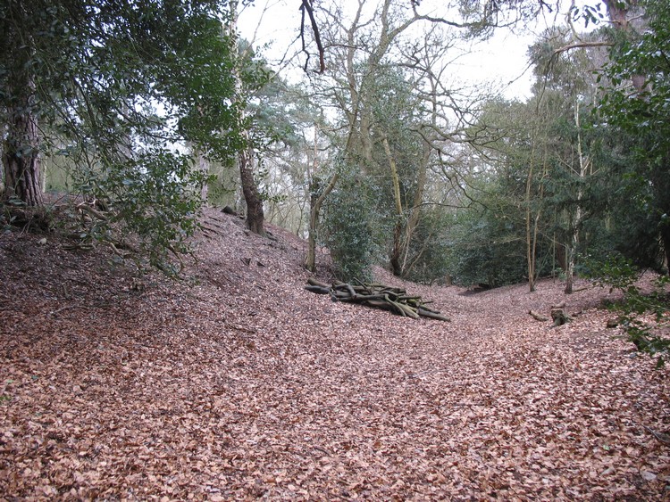 St Ann's Hill