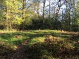 Glory Wood Bowl Barrow - PID:236666