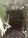 Lid Well - PID:226118