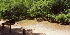 St Martha's on the Hill Earth Circles - PID:11971