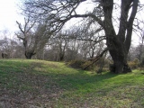 Click for full size image of Ashtead Common Earthwork (PID:55845) Ashtead Common Earthwork