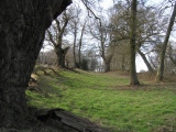 Ashtead Common Earthwork