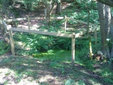 Mag's Well (Abinger Forest) - PID:60257