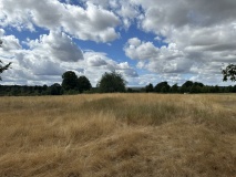 Cherkley Court Western Barrow