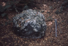Weston Woods Cromlech