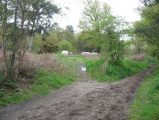 Reigate Heath Barrows