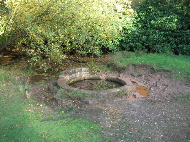 More forlorn than the Rowton Well, the site needs some repairs.