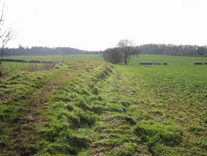 Burrow Hill Camp (Warwickshire)