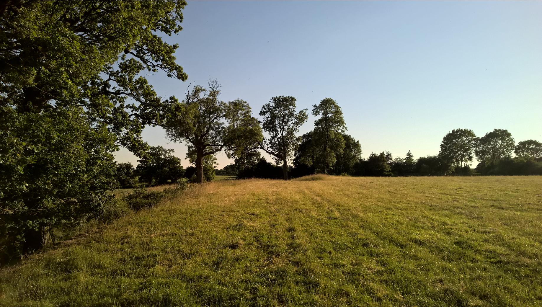 Beausale Fort