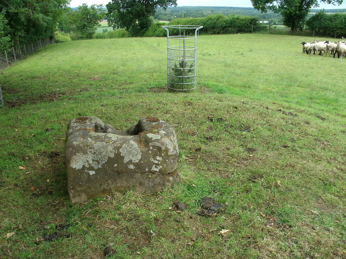 The medieval Wroth Stone (Cross base) on its bronze age barrow.