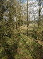 Barnmoor Wood Camp - PID:105298
