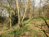 Barnmoor Wood Camp - PID:105299