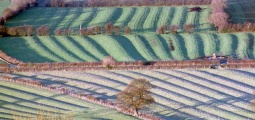 Meon Hill - PID:108365