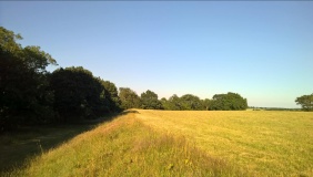 Beausale Fort