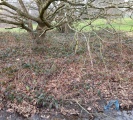 Burnt mound in Fox Hollies Park - PID:286732
