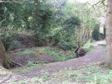 Moseley Bog Burnt Mound - PID:29137