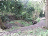 Moseley Bog Burnt Mound