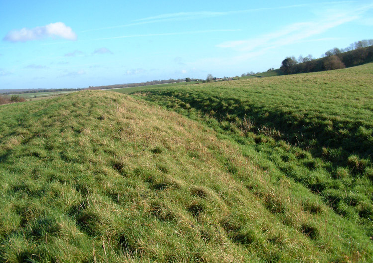 St Roche's Gate Cross Dyke