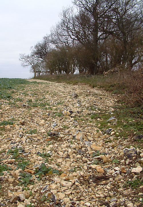 Click for the gallery page to add comments and vote (PID:27286) Long Down Flint Mines