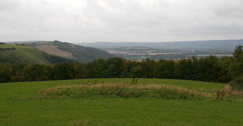 Click for the gallery page to add comments and vote (PID:43031) Linch Down
