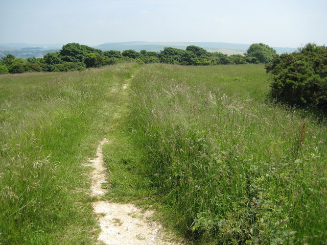 Click for the gallery page to add comments and vote (PID:81185) Hollingbury