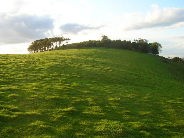 Click for the gallery page to add comments and vote (PID:74718) Chanctonbury Ring