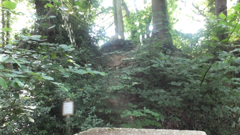 Click for the gallery page to add comments and vote (PID:167345) Brandy Hole Earthwork