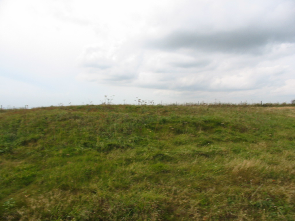 Beachy Brow Tumulus