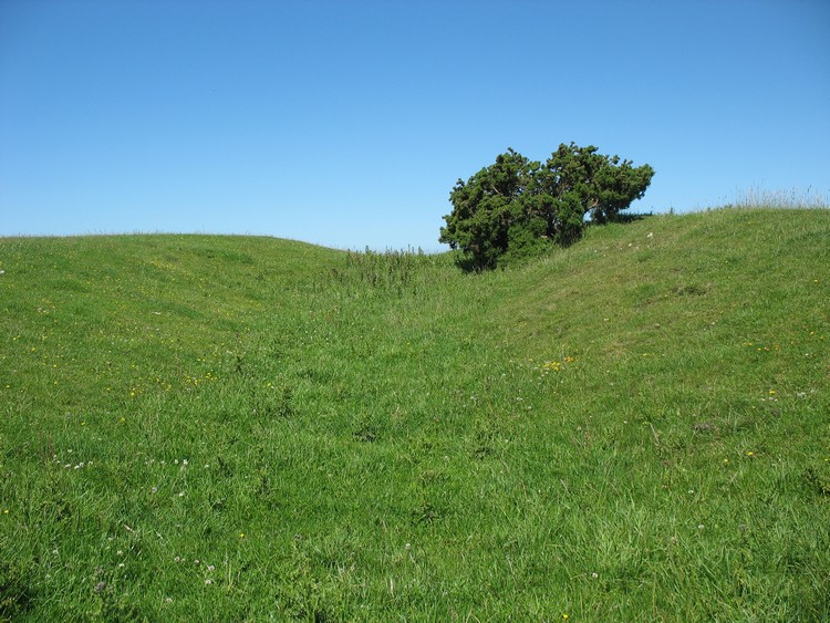 Chanctonbury Hill Cross Dyke