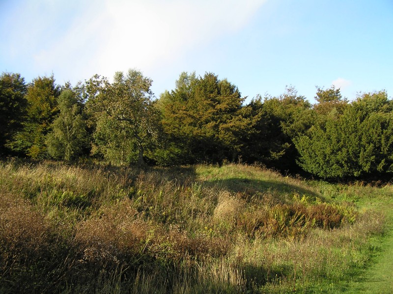 Click for the gallery page to add comments and vote (PID:103280) Bow Hill Cross Dykes