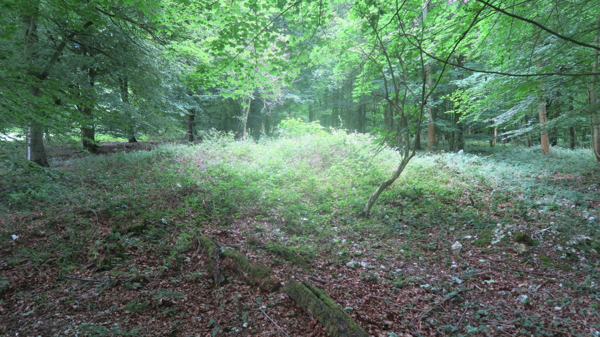 Clay Bottom Tumulus