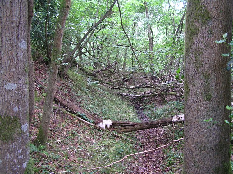 Piper's Copse Fort