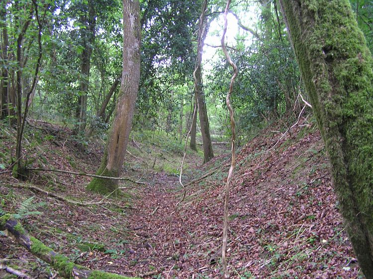 Piper's Copse Fort