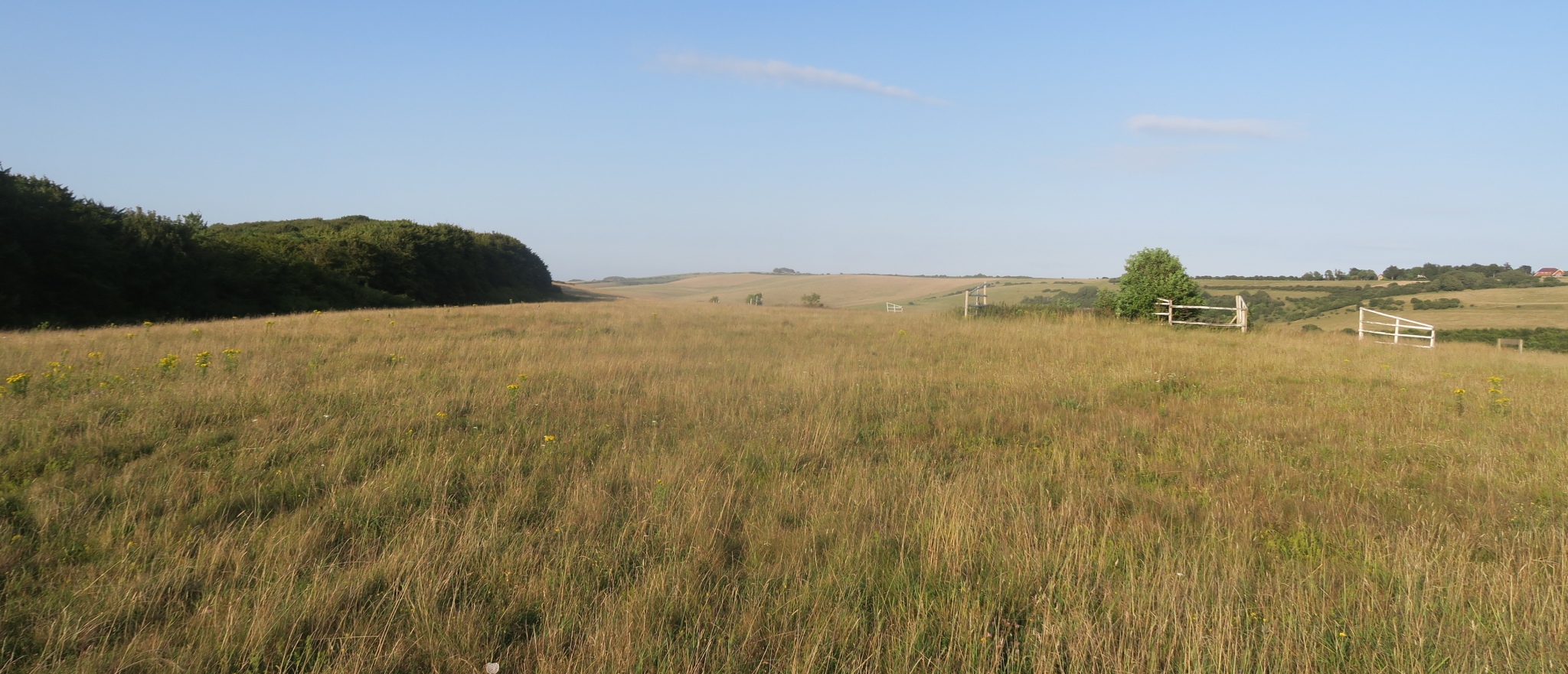 Friston Hill