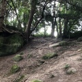 High Rocks Hillfort - PID:231575