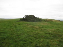 Loose Plantation crossways group