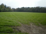 Philpots Promontory Camp - PID:60138