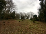 Cross Dyke, Whiteways - PID:192594