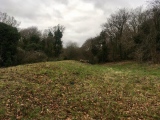 Cross Dyke, Whiteways - PID:192593